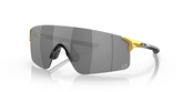 OAKLEY EVZERO BLADES