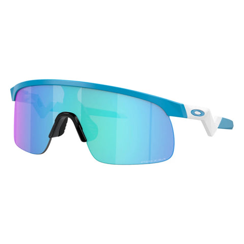 OAKLEY RESISTOR