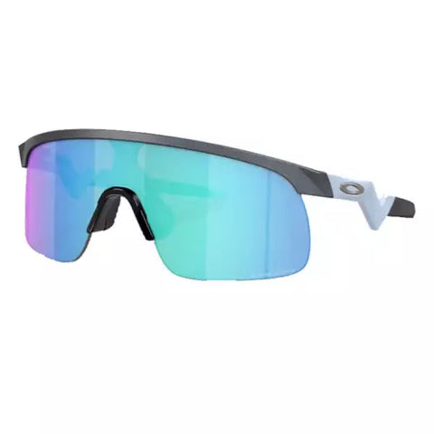 OAKLEY RESISTOR