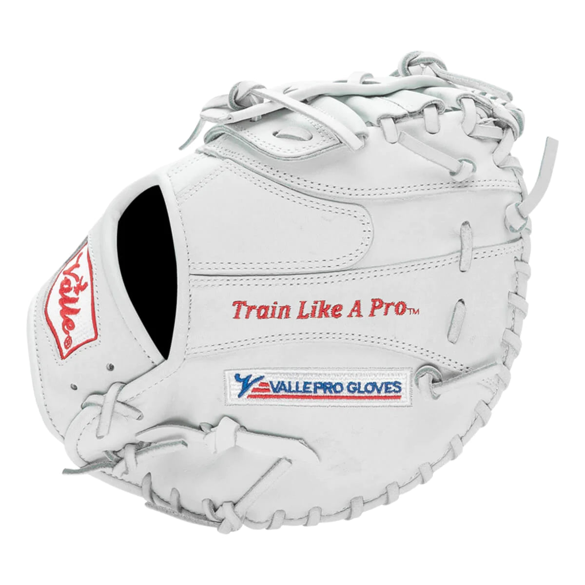 VALLE EAGLE E-11S TRAINING GLOVE