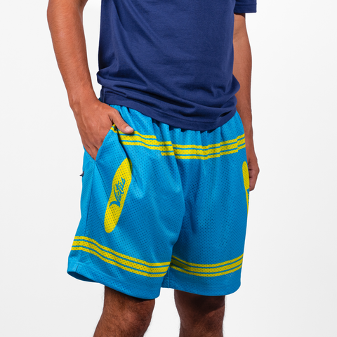 VICTUS YOUTH CRAYON MESH SHORTS