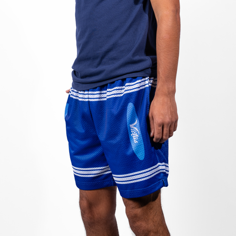 VICTUS YOUTH CRAYON MESH SHORTS