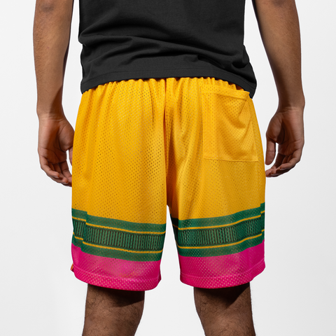 VICTUS YOUTH PENCIL MESH SHORTS