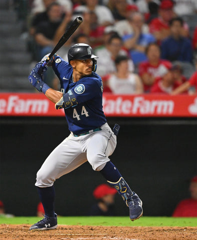 EVOSHIELD PRO-SRZ™ 2.0 ADULT BATTER'S LEG GUARD